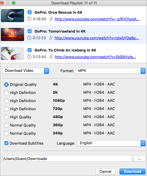 best program to download youtube videos for mac